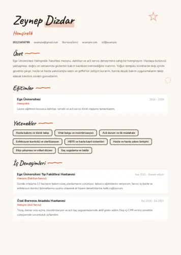 Sağlık Çalışanı Cv Örnekleri cv indir